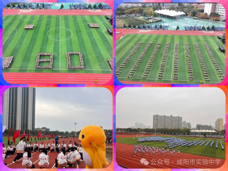 微信图片_2025-11-11_234416_706