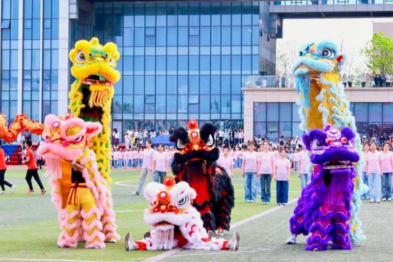 图片5