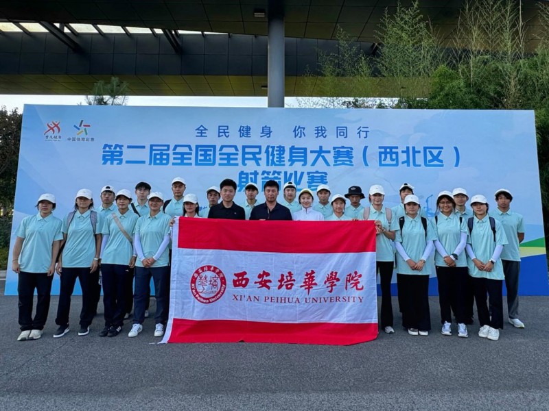 图片8